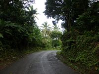 dominica